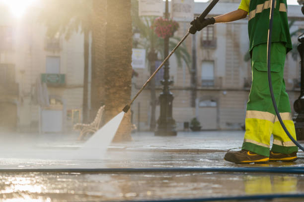 Best Roof Washing  in Deltona, FL